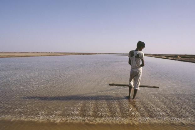 A sneak peak into the life of an uncounted boy of the Agariya tribe who live in Gujarat’s Little Rann of Kutch